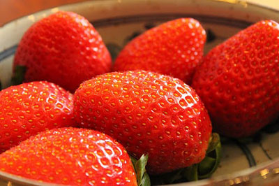 チーフナイスショット!